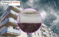 アパートの雨漏りはどこから?よくある原因5つと応急処置・修理費用の目安